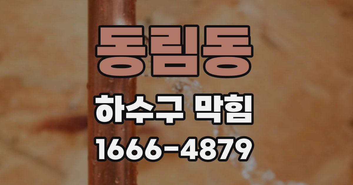 동림동 하수구 막힘