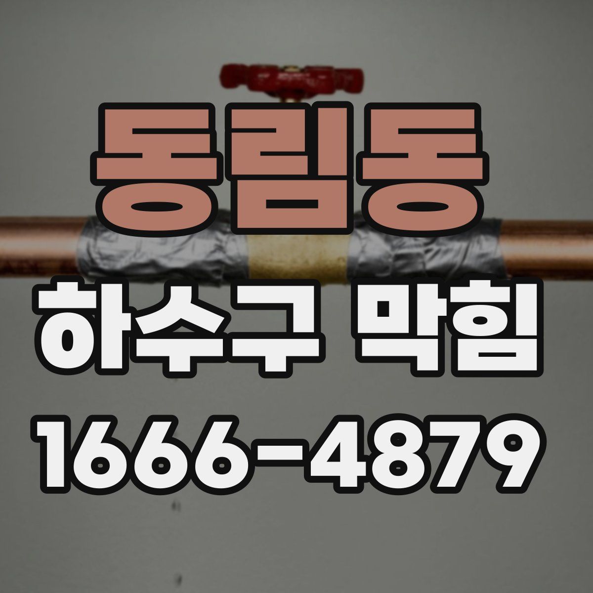동림동 하수구 막힘