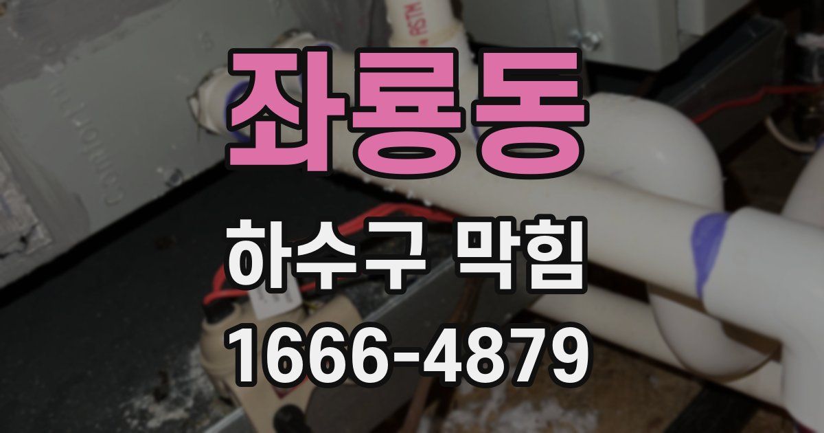 좌룡동 하수구 막힘