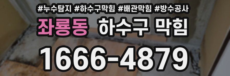 좌룡동 하수구 막힘