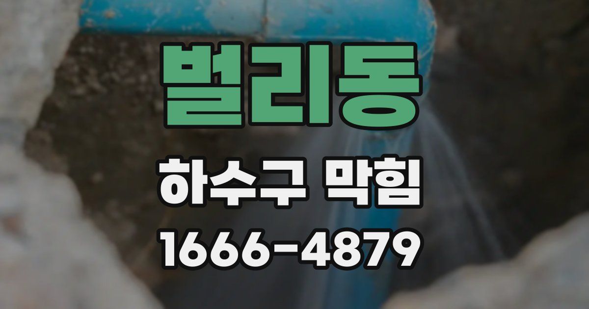 벌리동 하수구 막힘