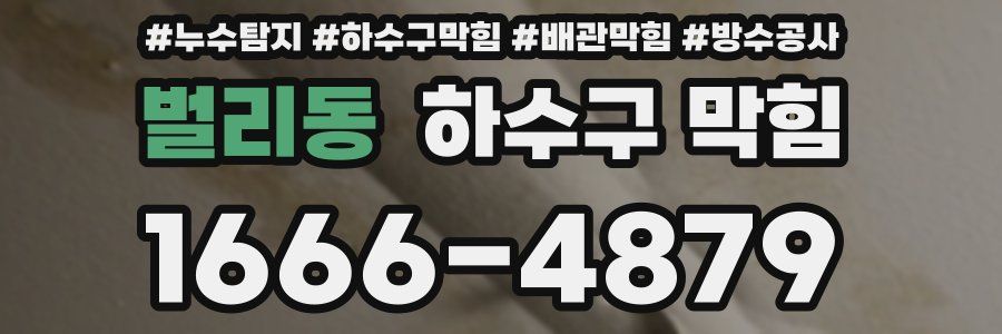 벌리동 하수구 막힘