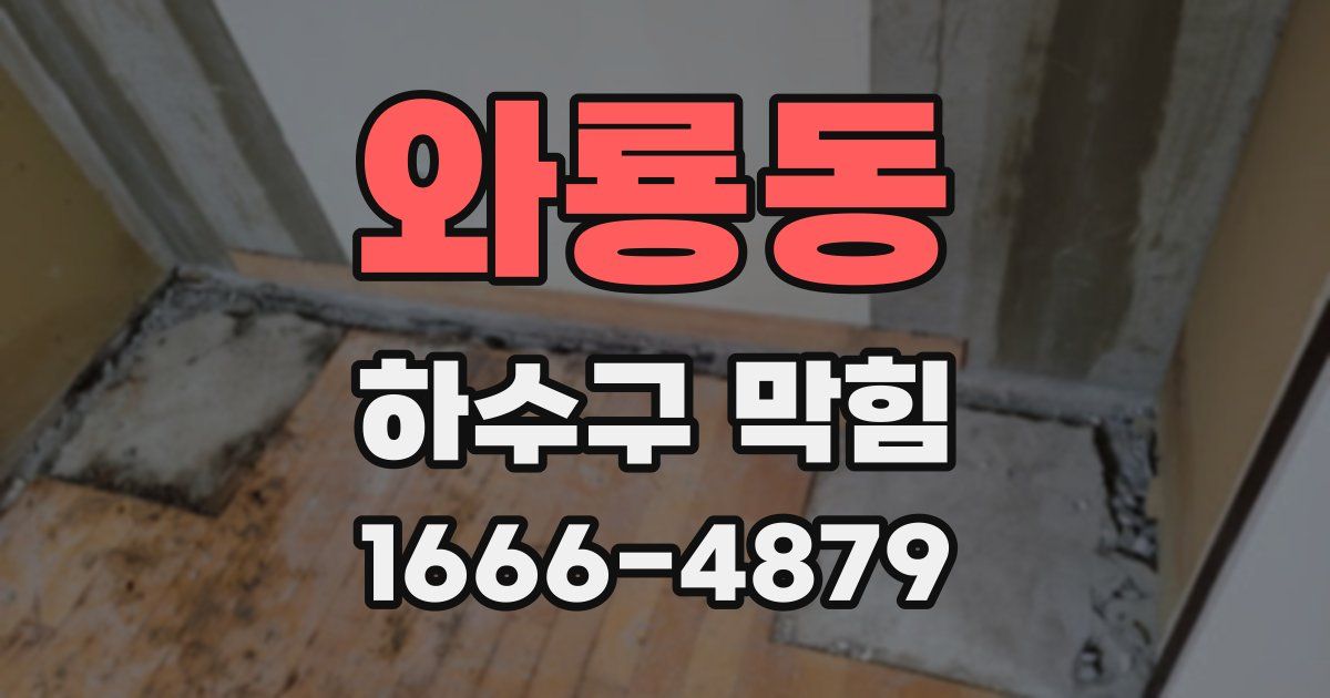 와룡동 하수구 막힘