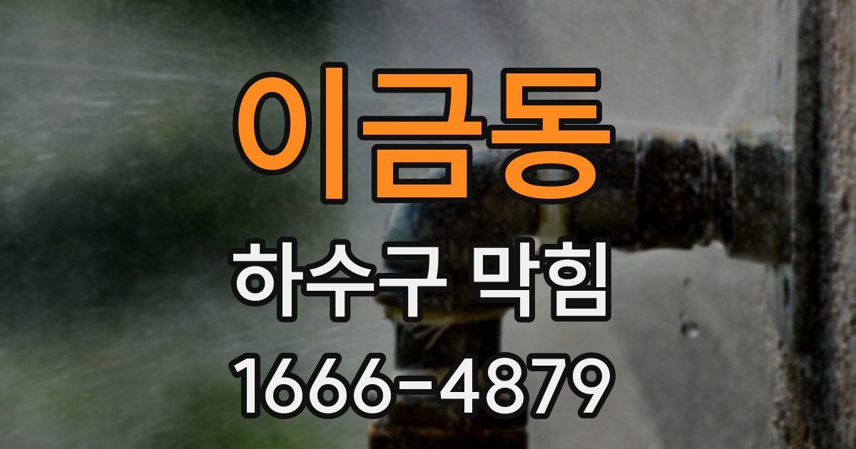 이금동 하수구 막힘