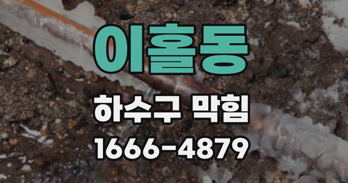이홀동 하수구 막힘