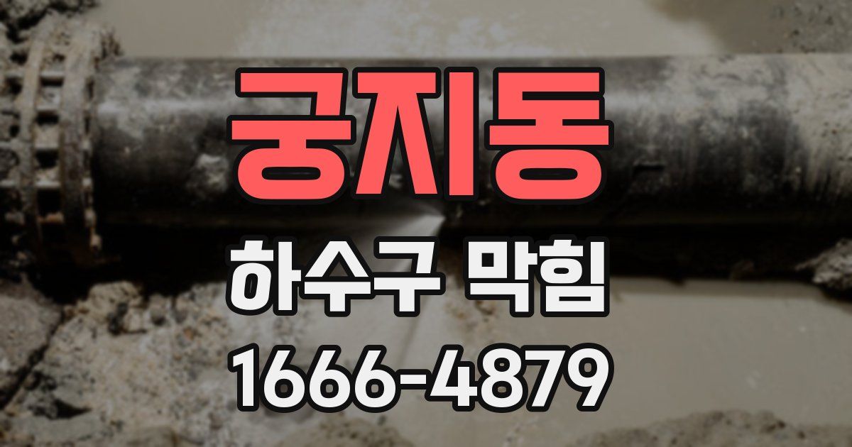 궁지동 하수구 막힘