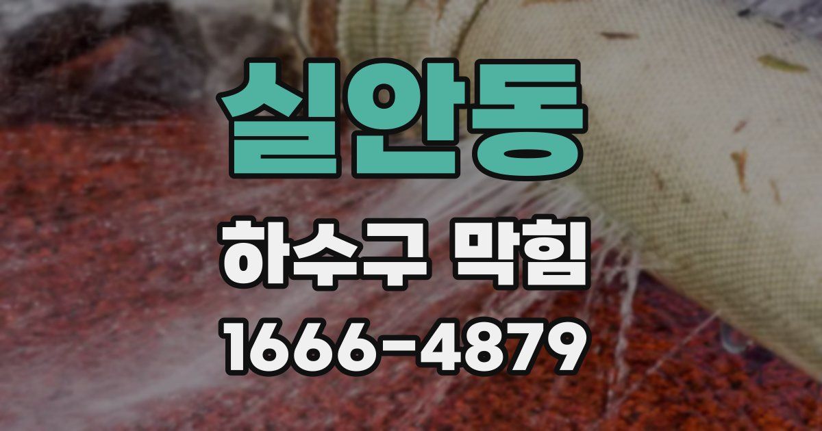 실안동 하수구 막힘