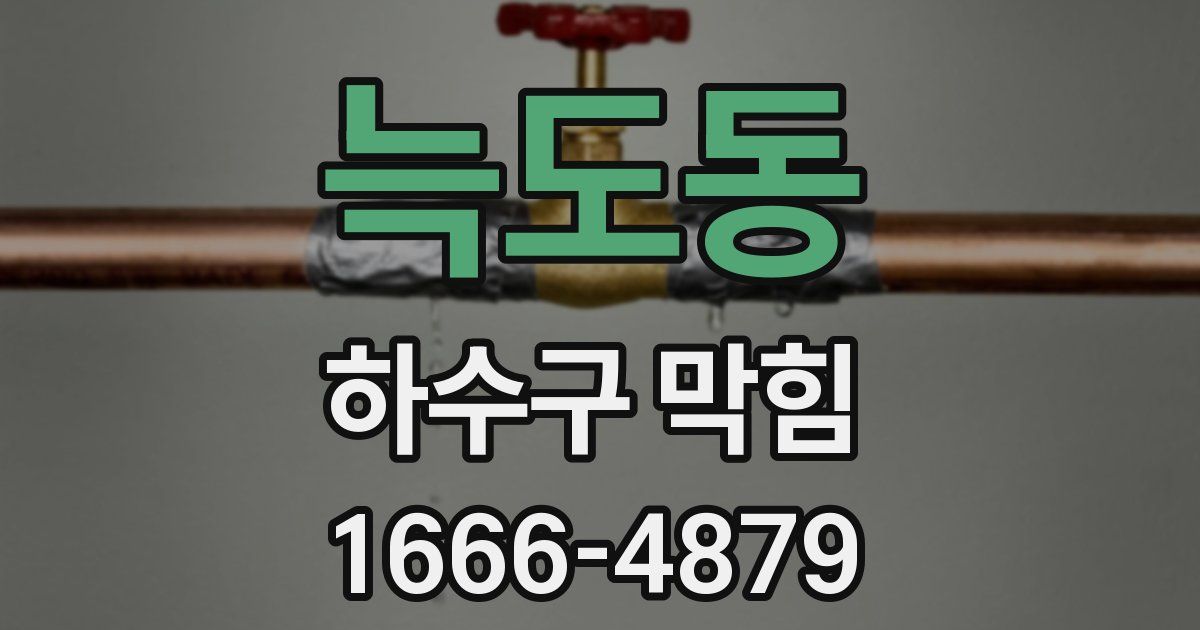늑도동 하수구 막힘