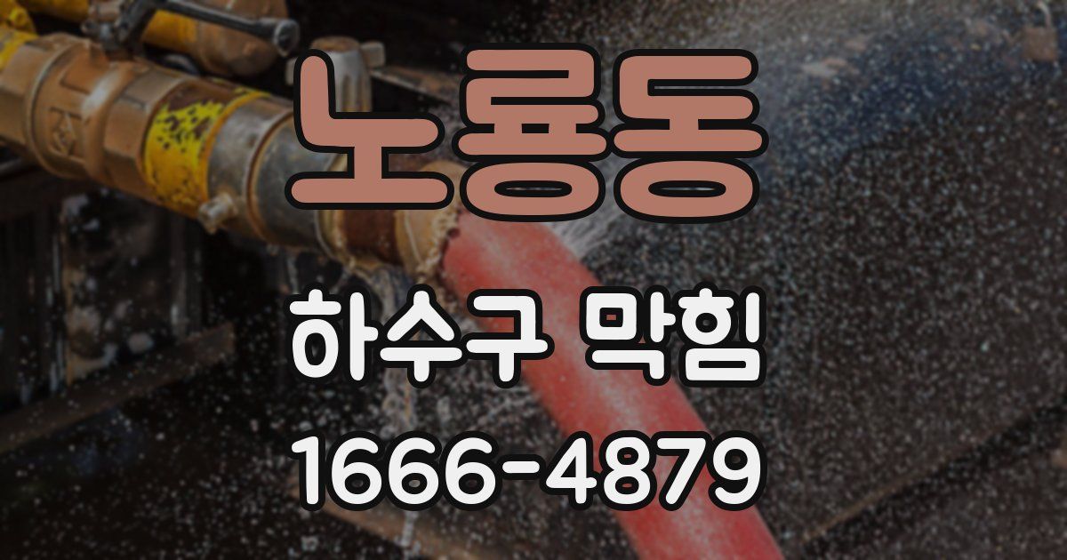 노룡동 하수구 막힘