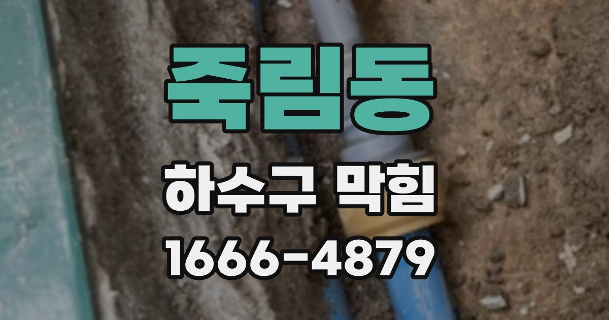 죽림동 하수구 막힘