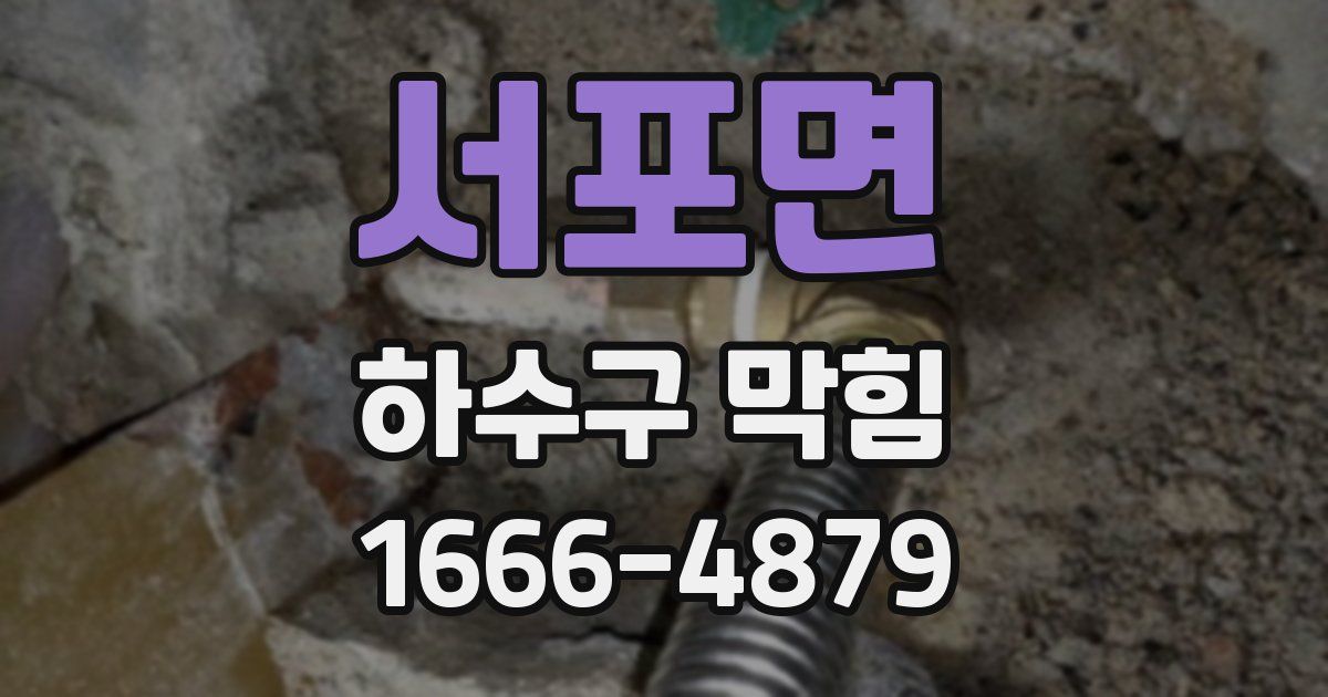 서포면 하수구 막힘