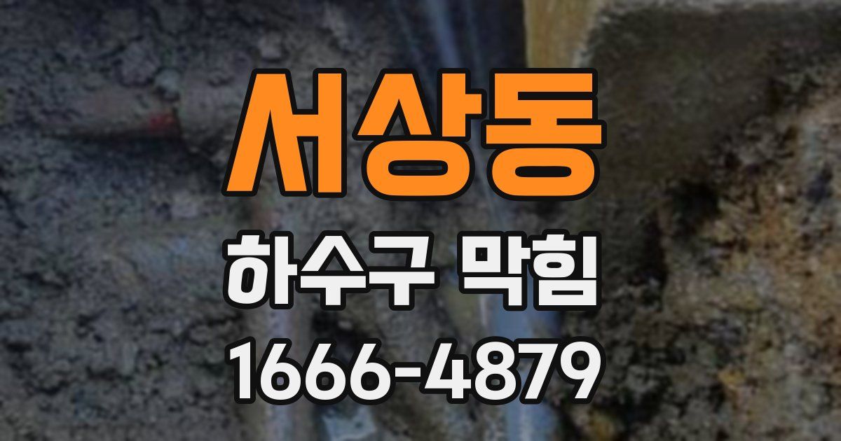 서상동 하수구 막힘