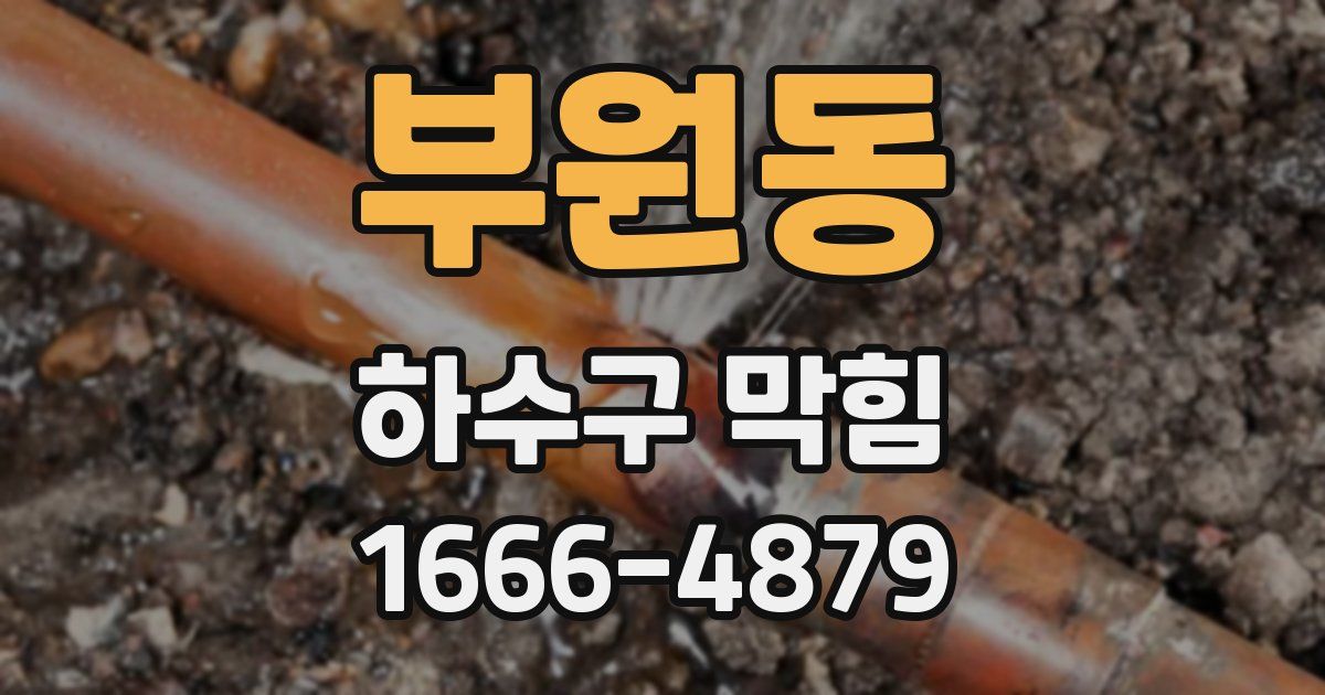 부원동 하수구 막힘