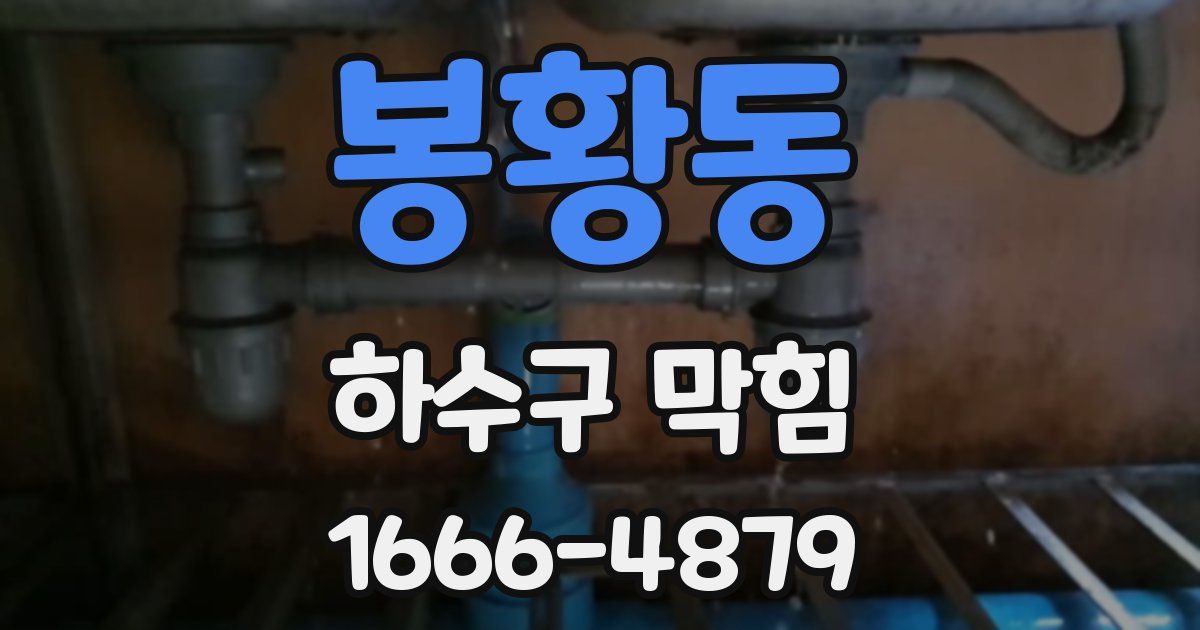 봉황동 하수구 막힘