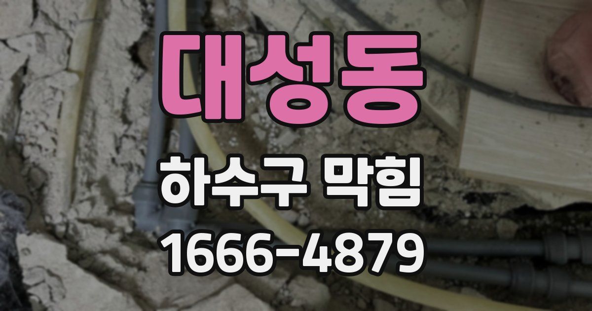 대성동 하수구 막힘