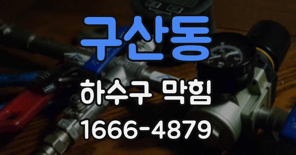 구산동 하수구 막힘
