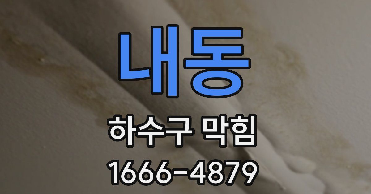 내동 하수구 막힘