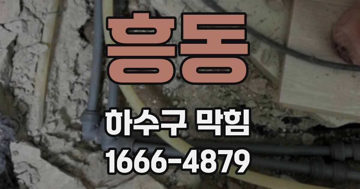 흥동 하수구 막힘