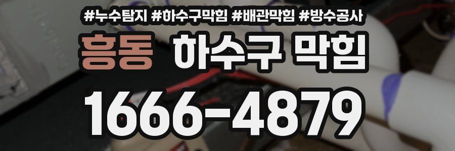 흥동 하수구 막힘