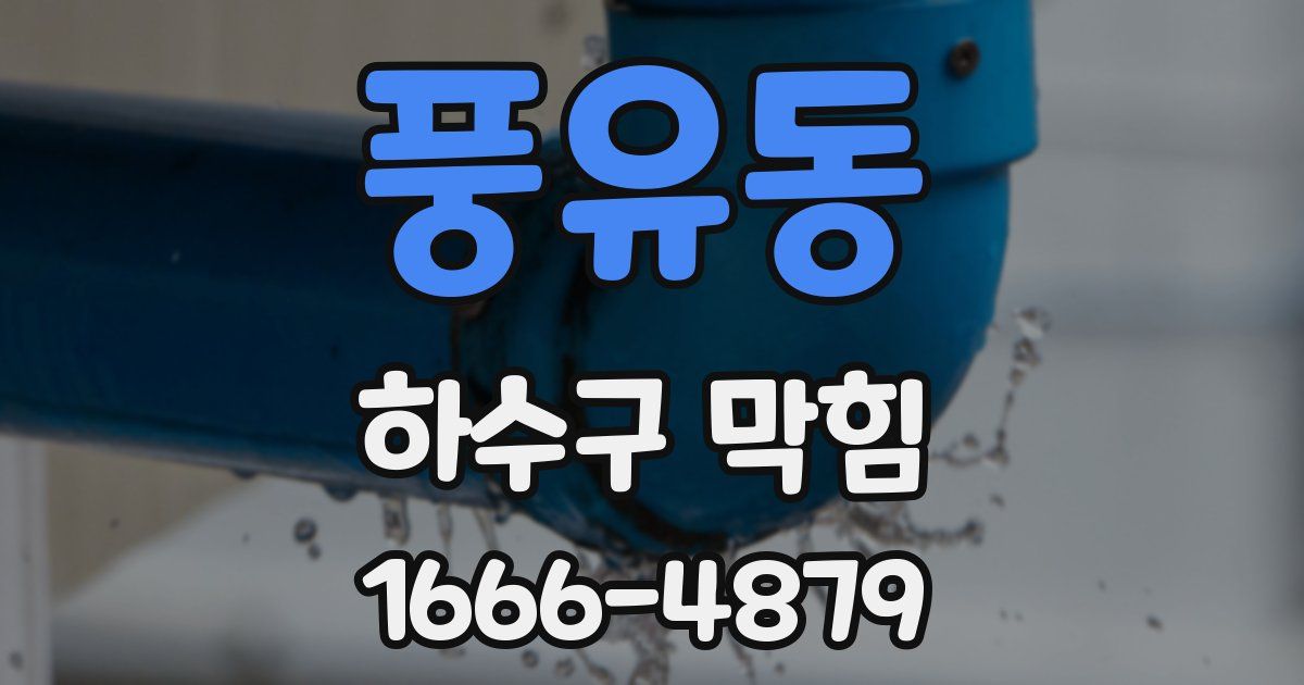 풍유동 하수구 막힘