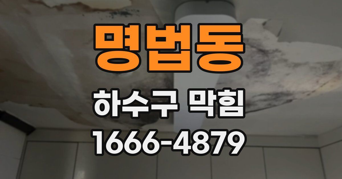 명법동 하수구 막힘