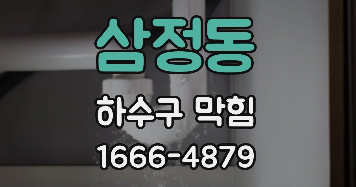삼정동 하수구 막힘