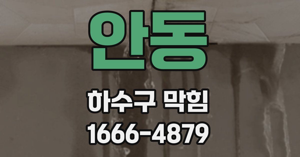 안동 하수구 막힘