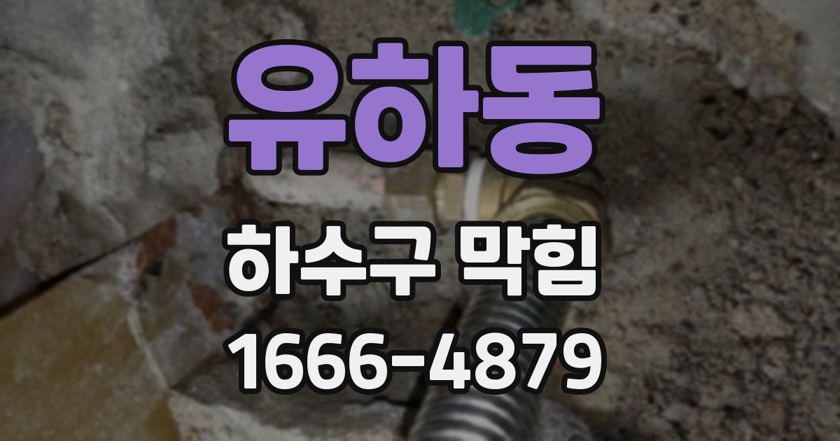 유하동 하수구 막힘