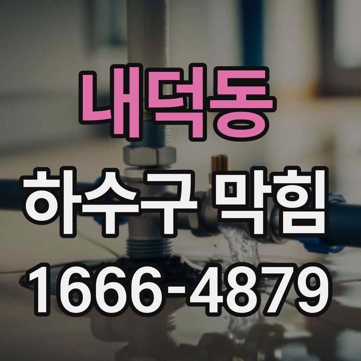 내덕동 하수구 막힘