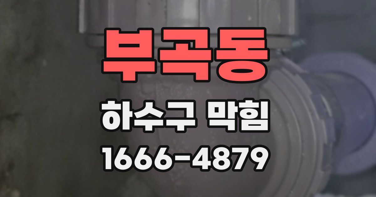 부곡동 하수구 막힘
