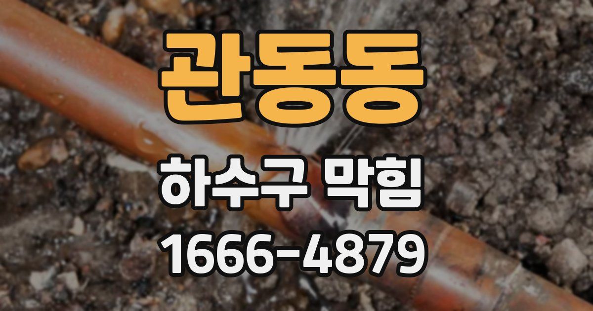 관동동 하수구 막힘