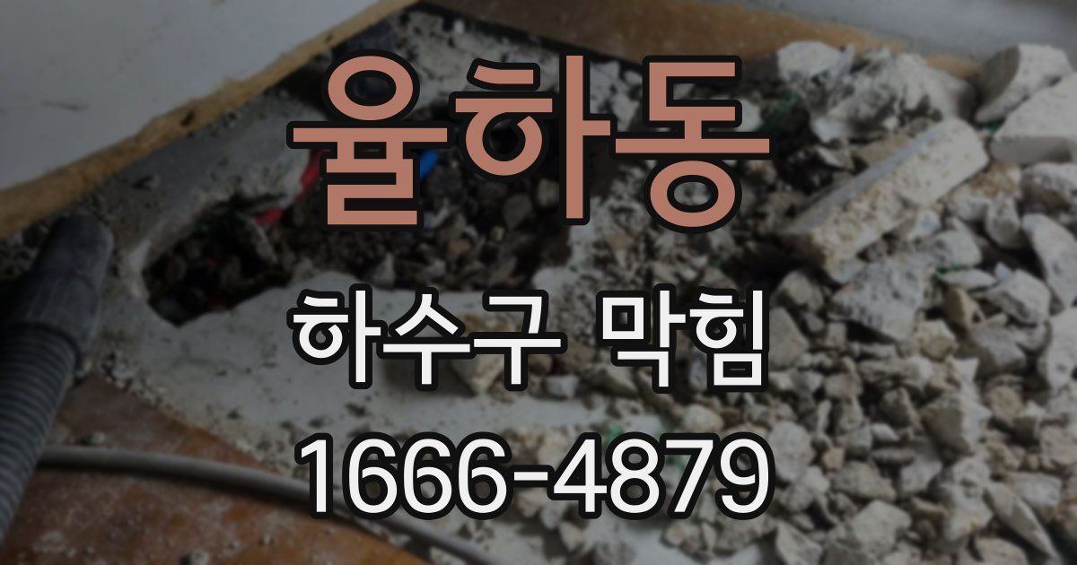 율하동 하수구 막힘