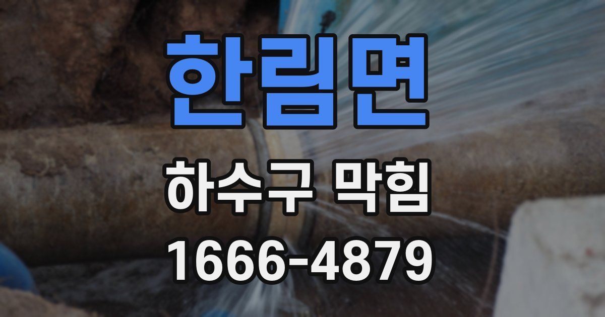한림면 하수구 막힘