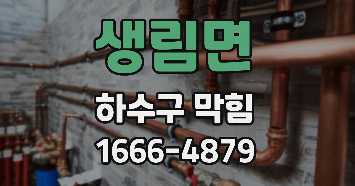 생림면 하수구 막힘