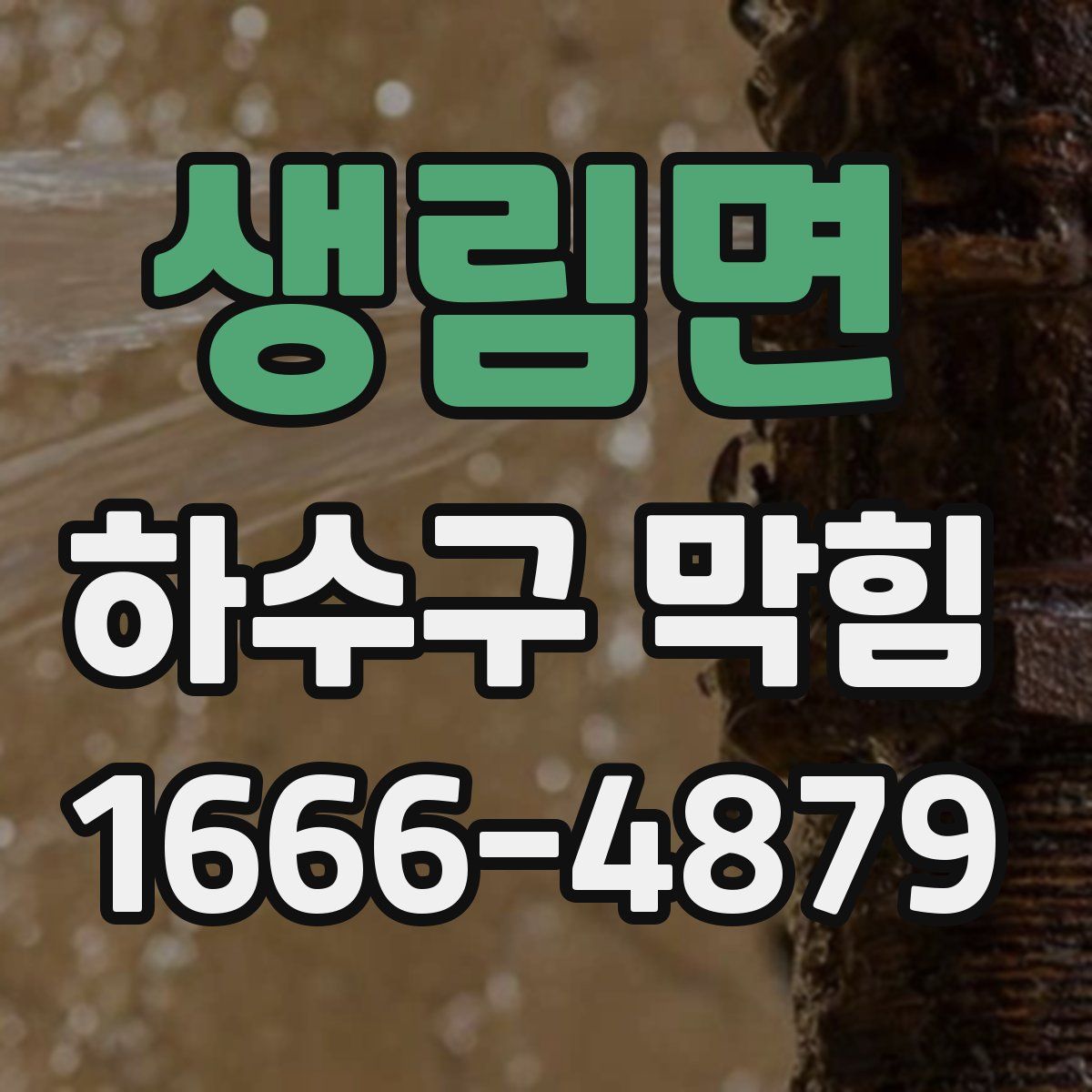생림면 하수구 막힘