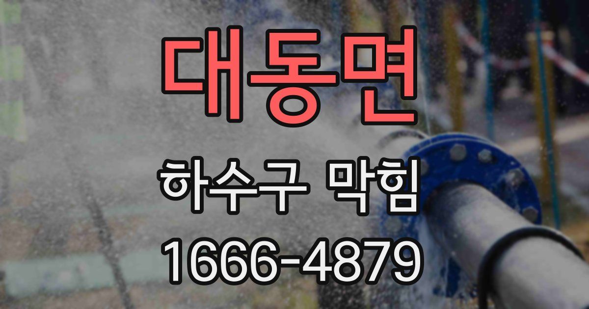 대동면 하수구 막힘