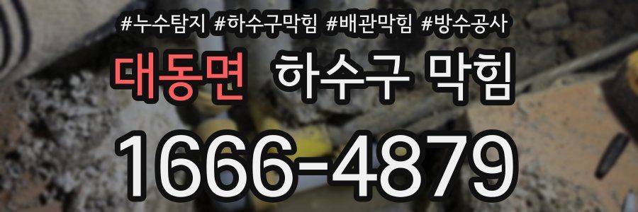대동면 하수구 막힘