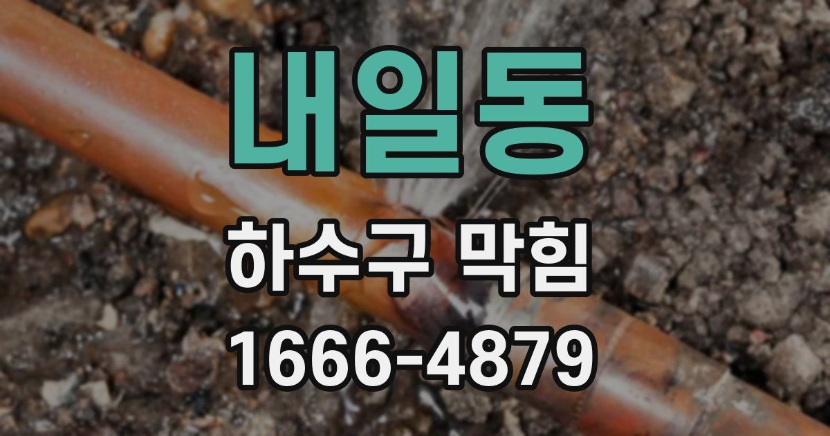 내일동 하수구 막힘
