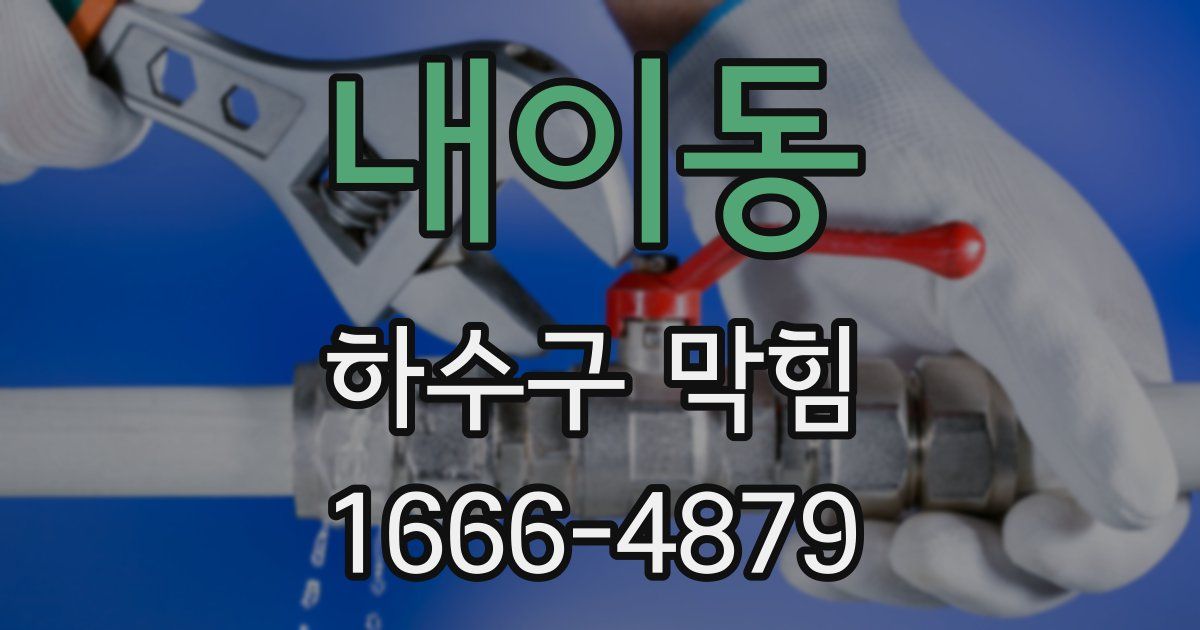 내이동 하수구 막힘