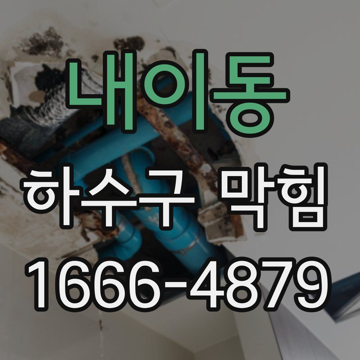 내이동 하수구 막힘