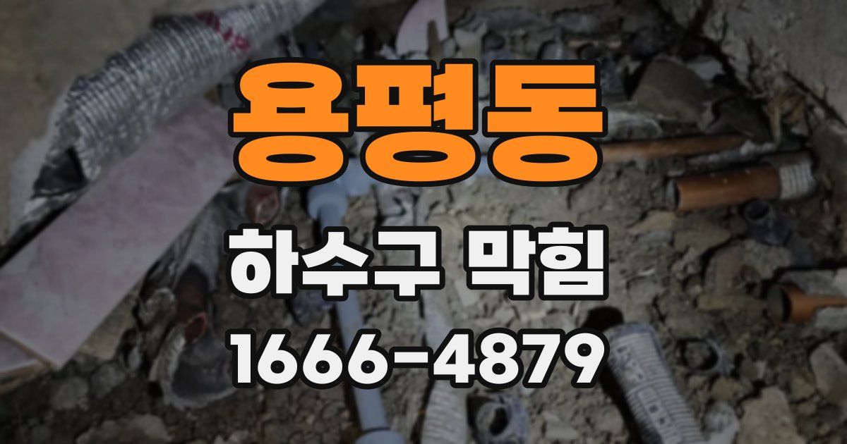 용평동 하수구 막힘