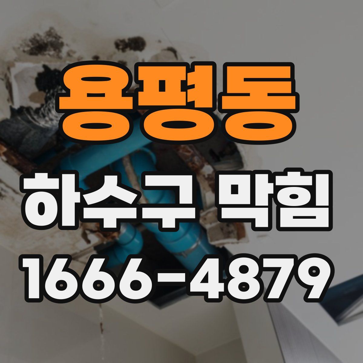 용평동 하수구 막힘