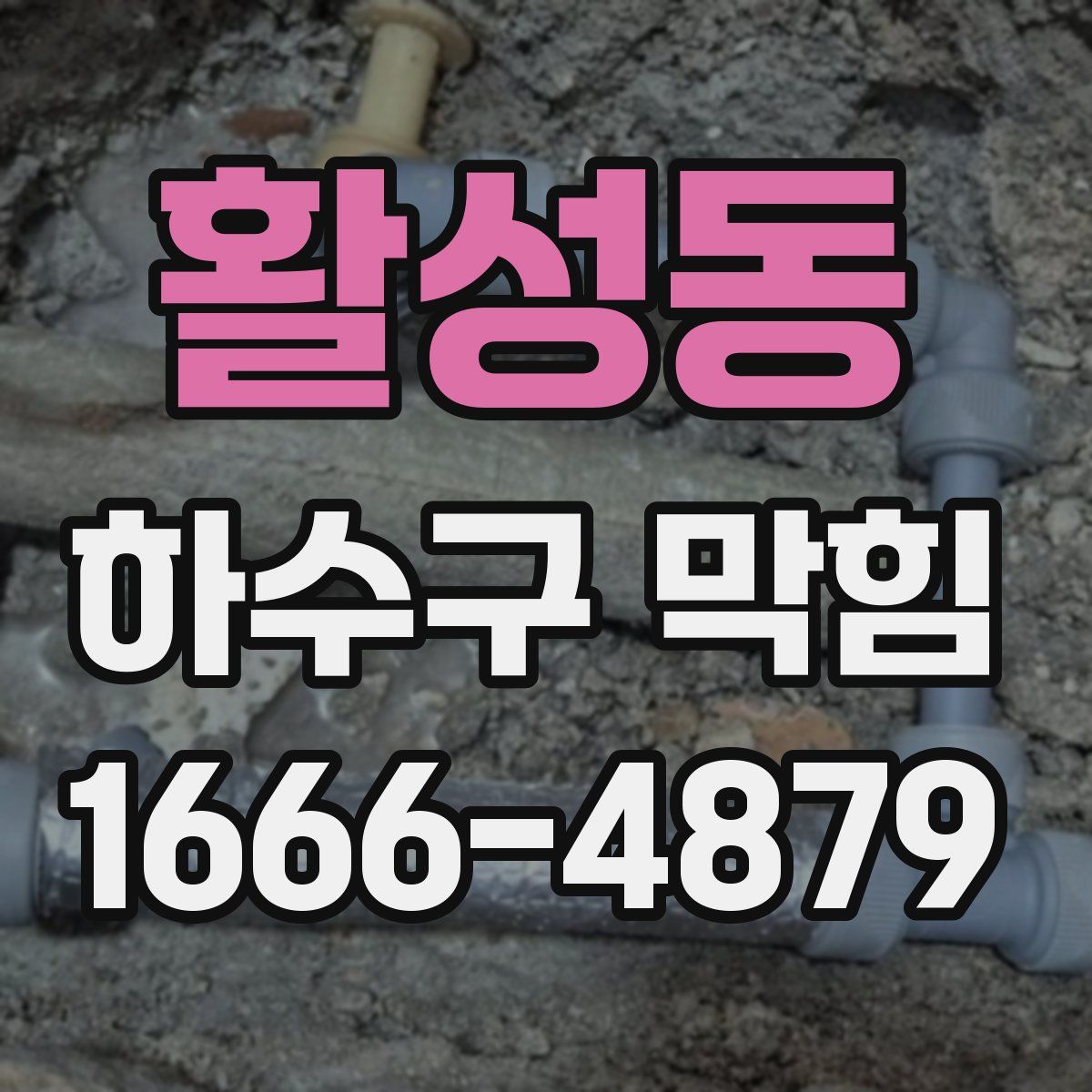 활성동 하수구 막힘