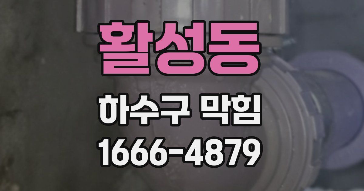 활성동 하수구 막힘