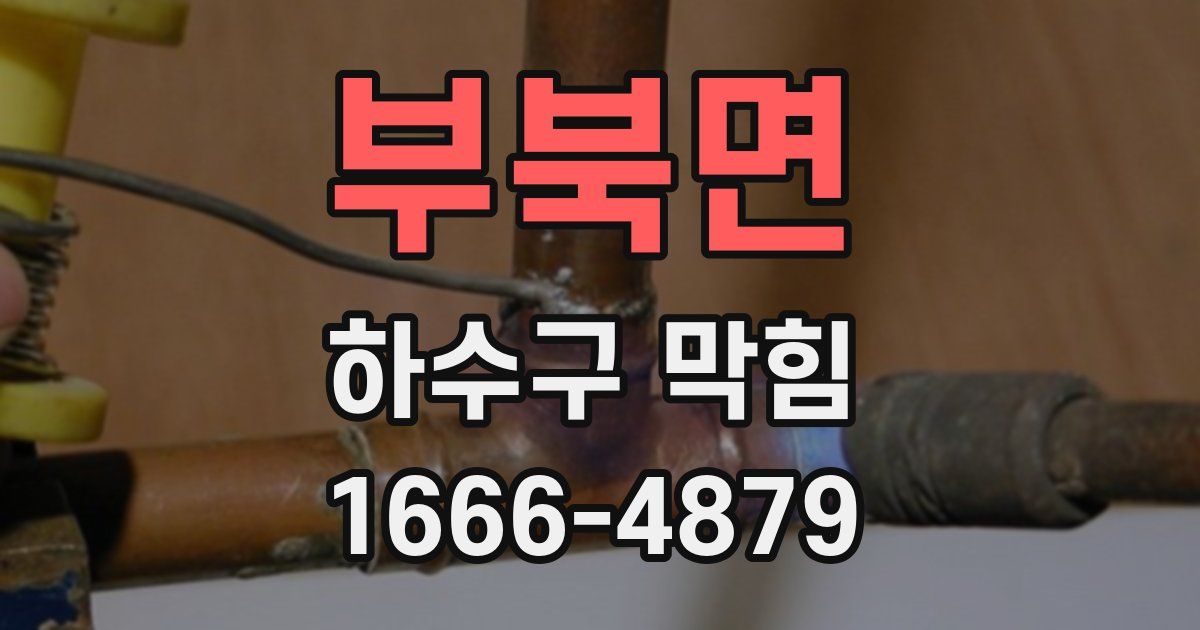 부북면 하수구 막힘
