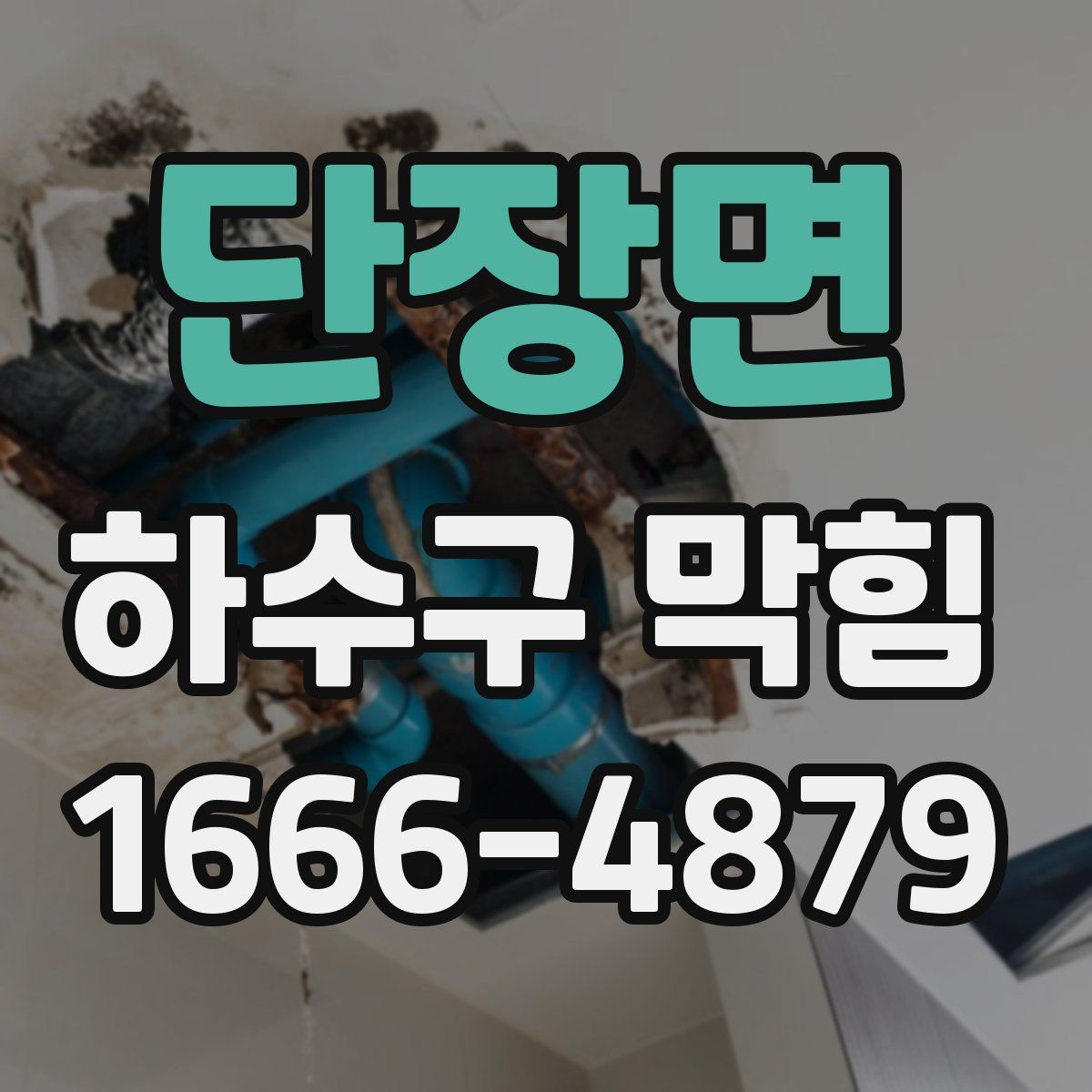단장면 하수구 막힘