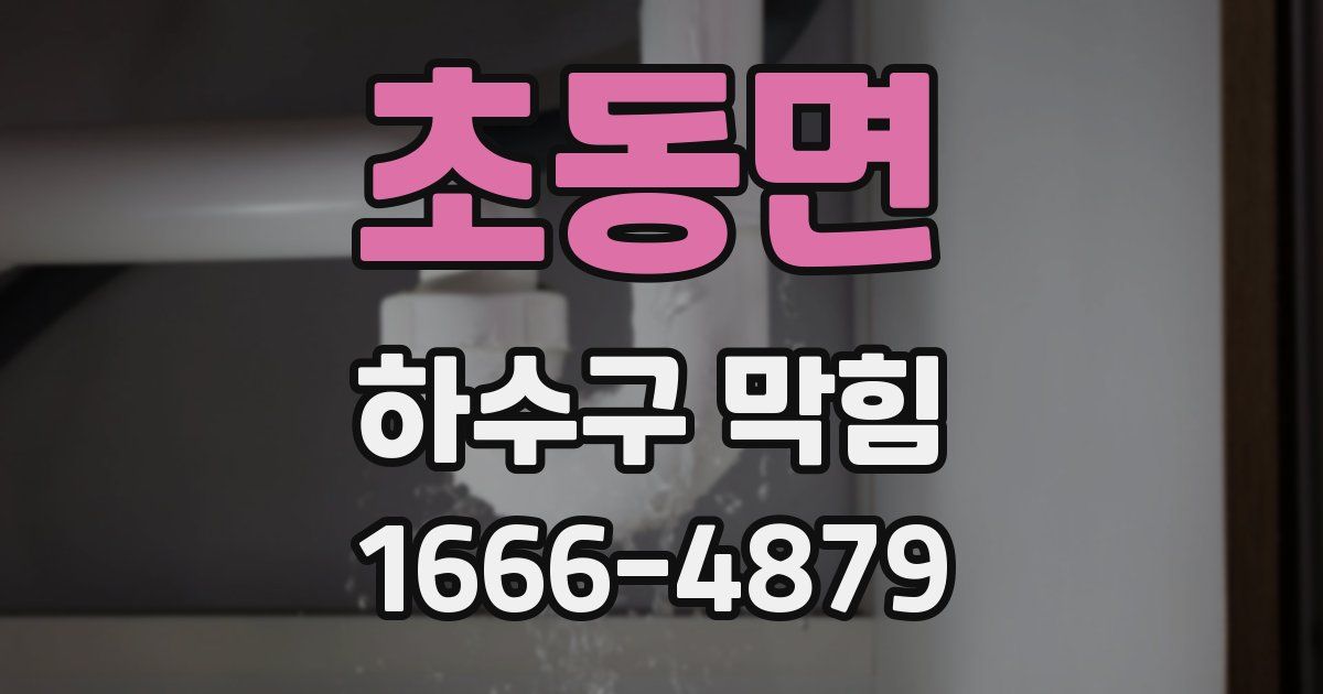 초동면 하수구 막힘