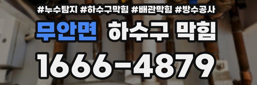 무안면 하수구 막힘
