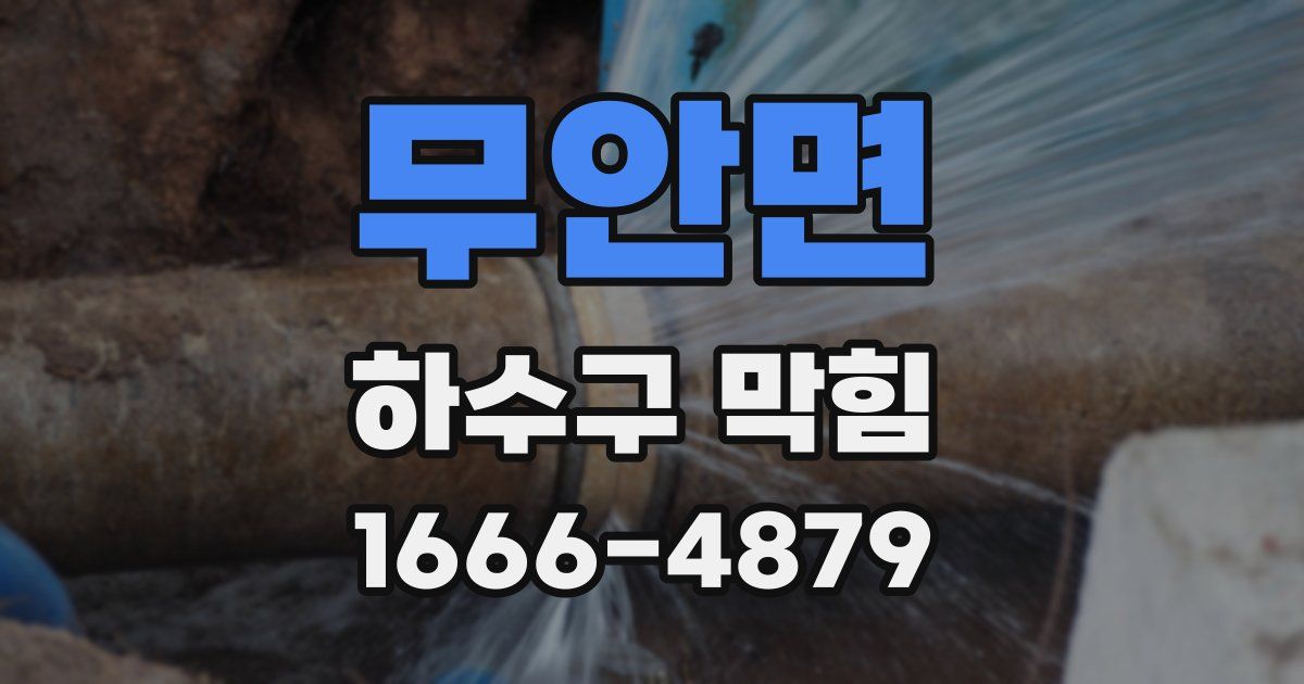 무안면 하수구 막힘