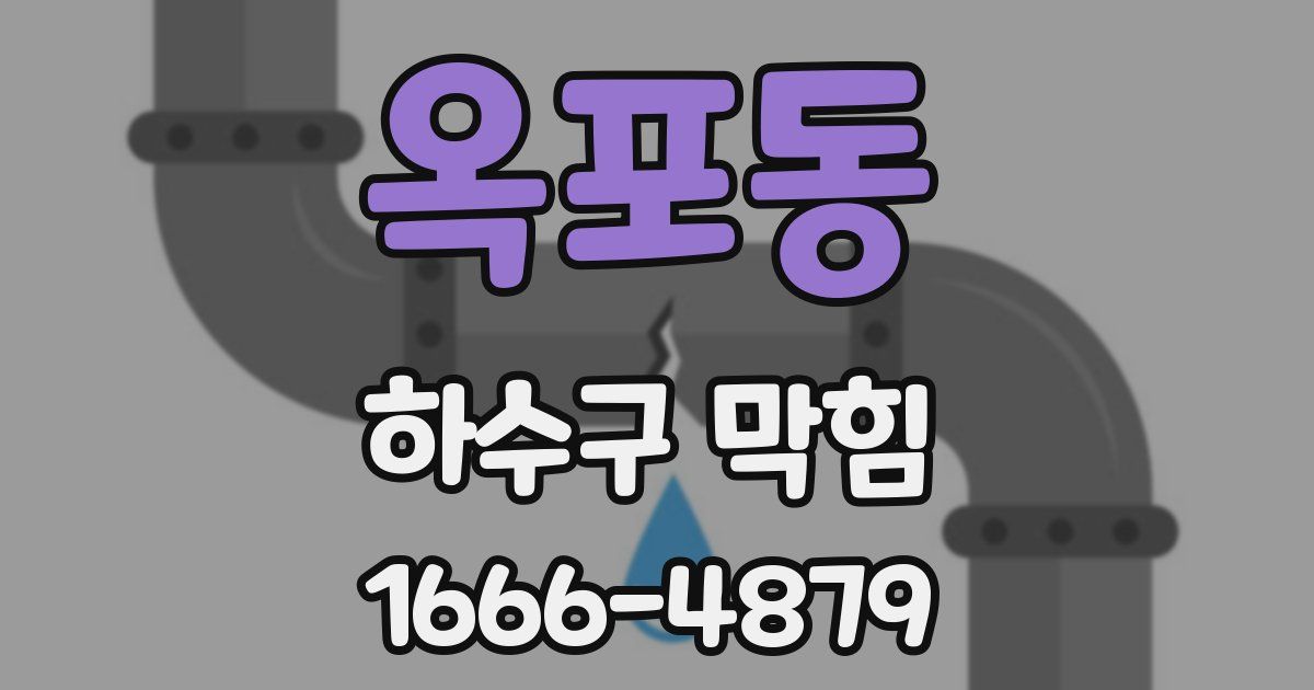 옥포동 하수구 막힘